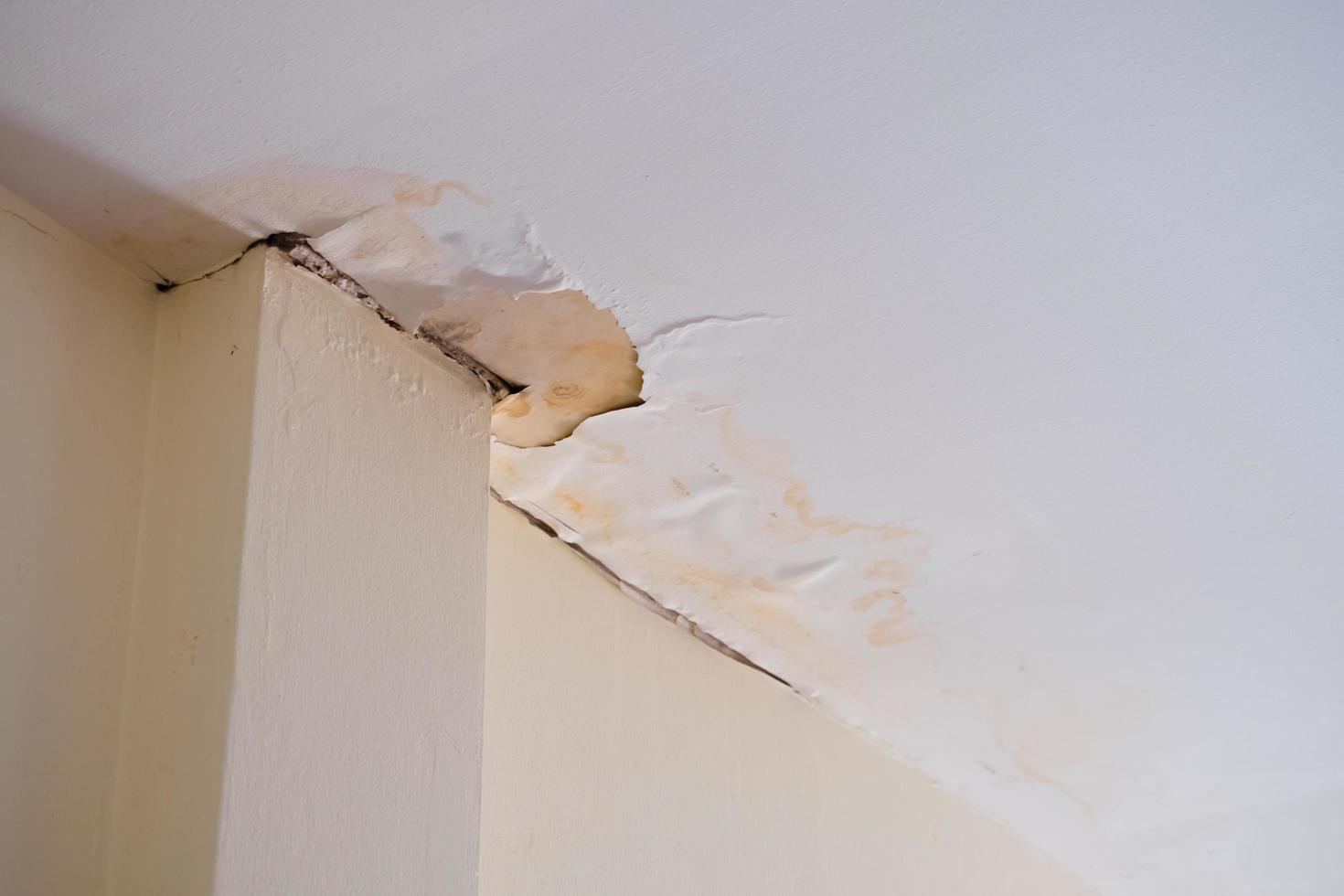 Water damaged ceiling roof, brown stain, office building photo