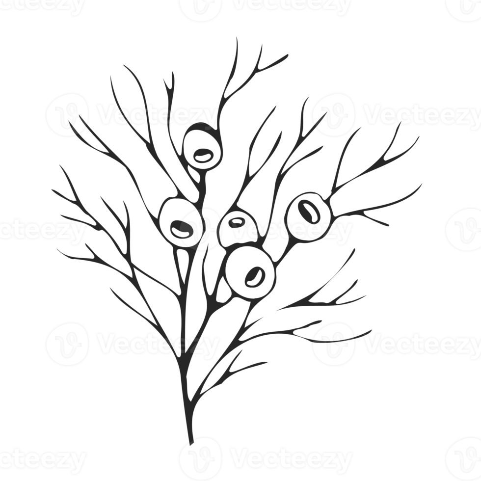 Minimal decoration floral ATL png