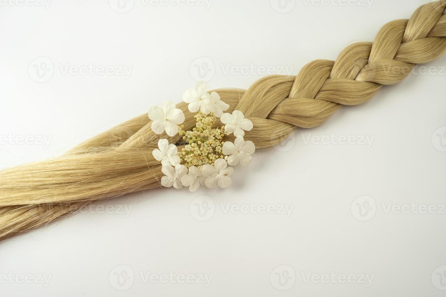 A blonde tress with a white flower on it lying on a white background photo