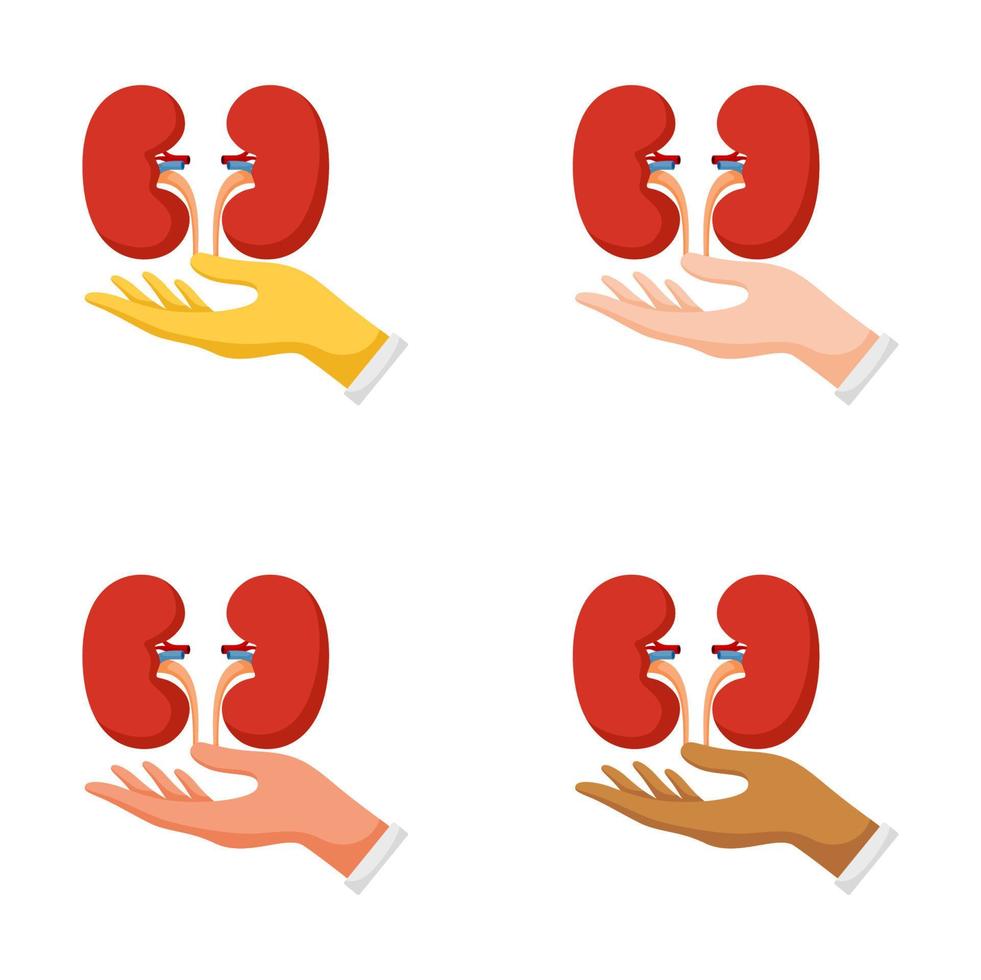 Set of hands gestures with kidney vector