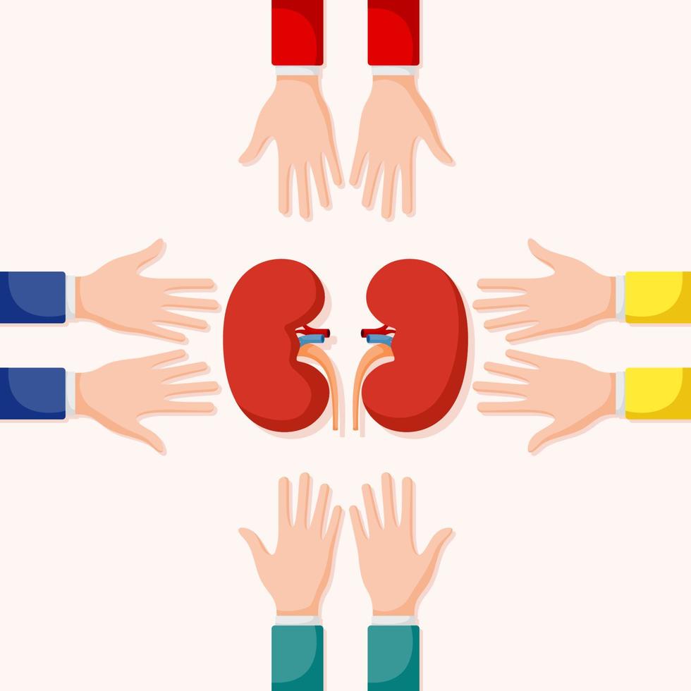 Set of hands gestures with kidney vector