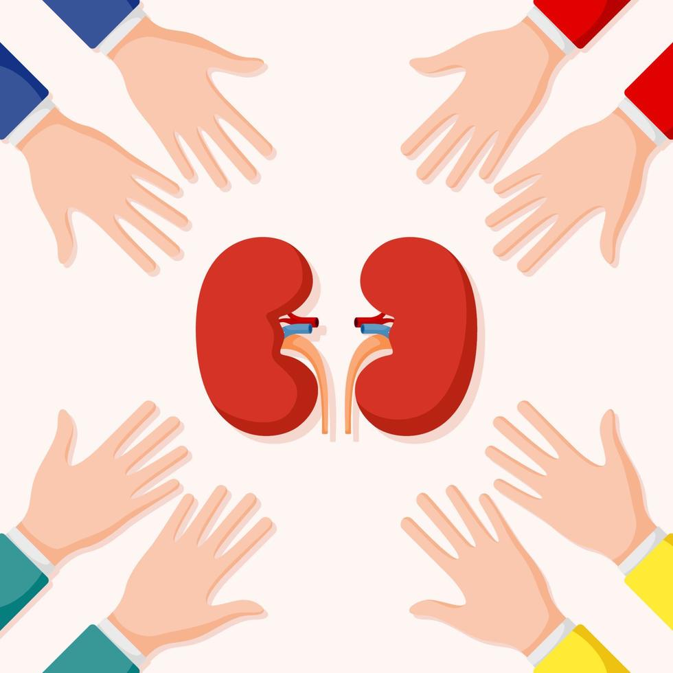 Set of hands gestures with kidney vector