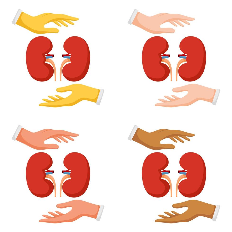 Set of hands gestures with kidney vector