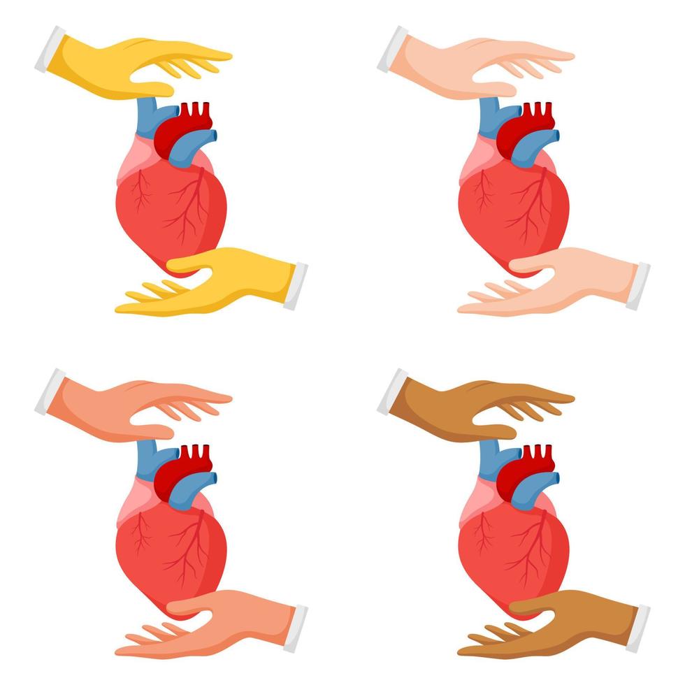 Set of hands gestures with human heart vector