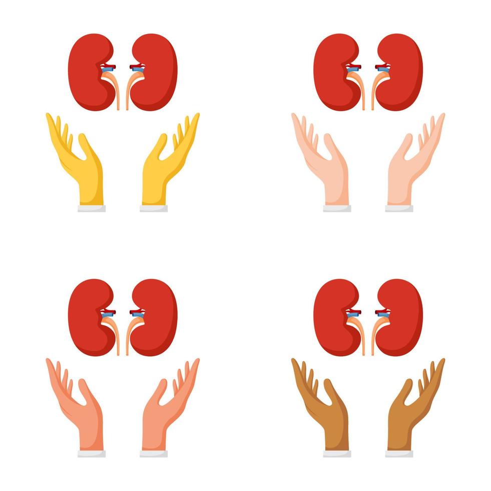 Set of hands gestures with kidney vector