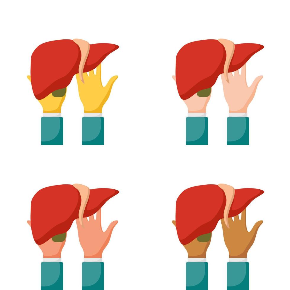 Set of hands gestures with liver vector