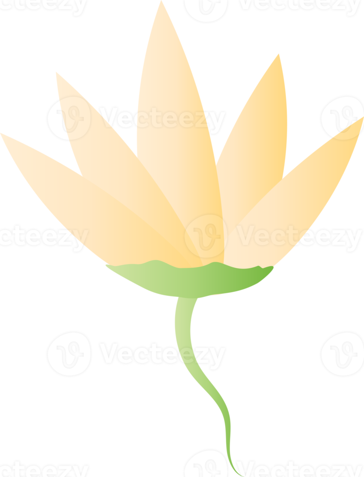 elemento de ícone de jardim de tulipa de lótus de flor para fundo decorativo png