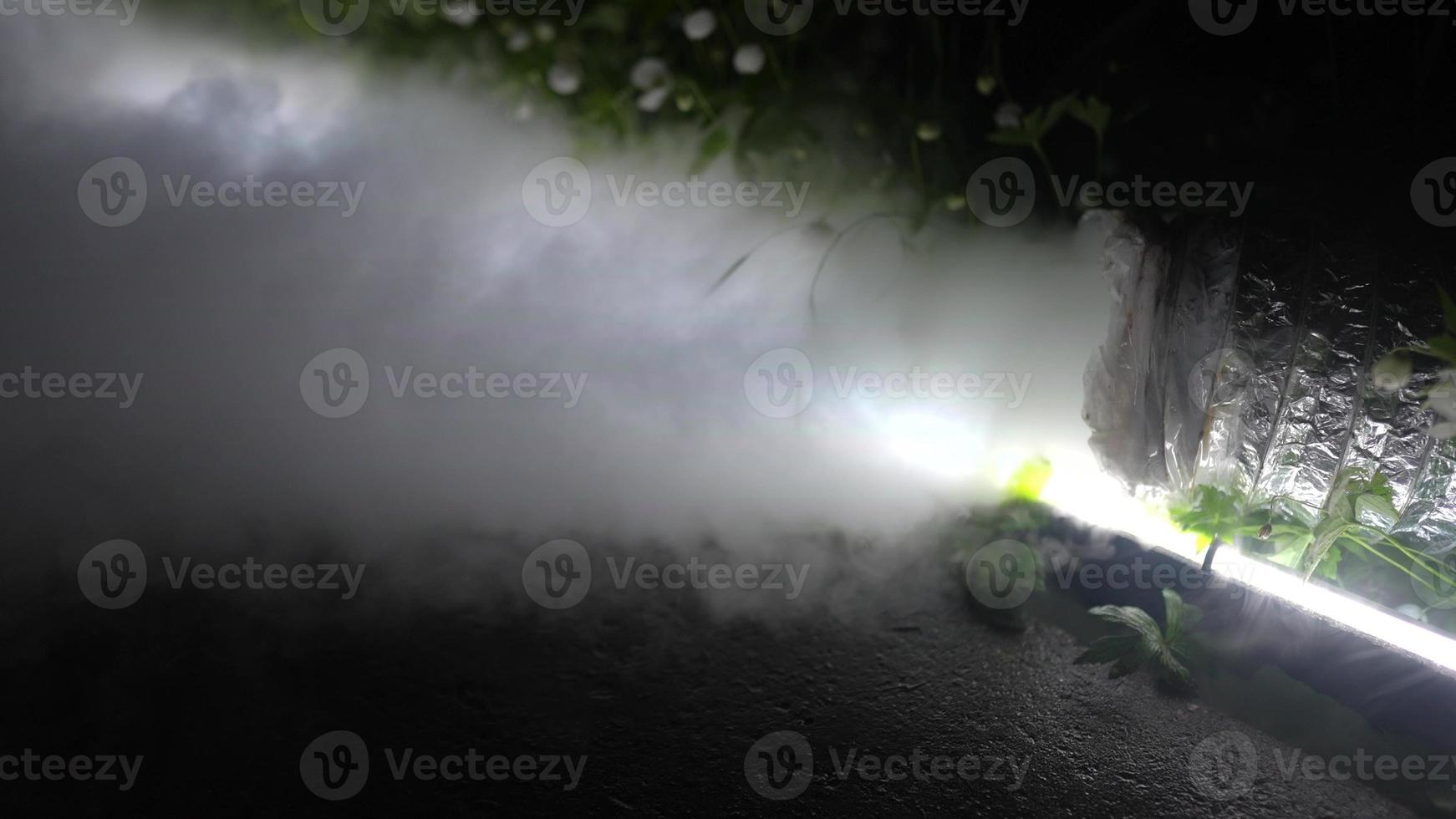 A large pipe fills the greenhouse with fog. photo