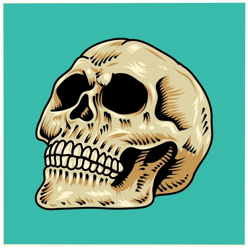 Skull Vector Art. Detailed hand-drawn illustration of skull.