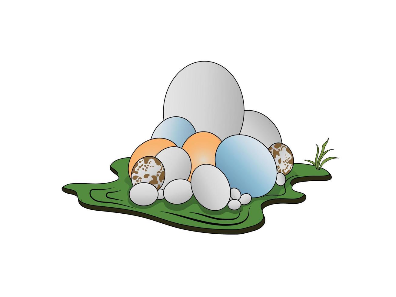 various eggs size.  duck egg, hens egg, swan egg,  lizard egg. vector