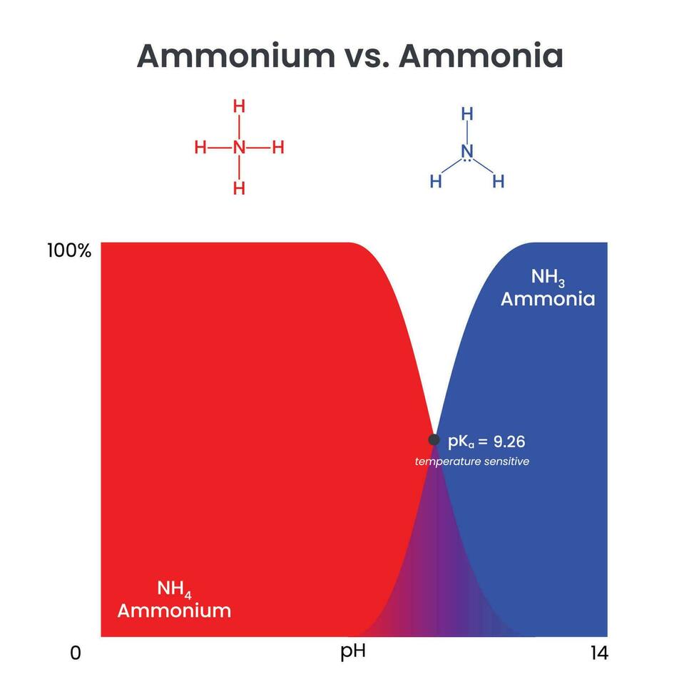 Ammonium Versus Ammonia Comparison science vector illustration graphic