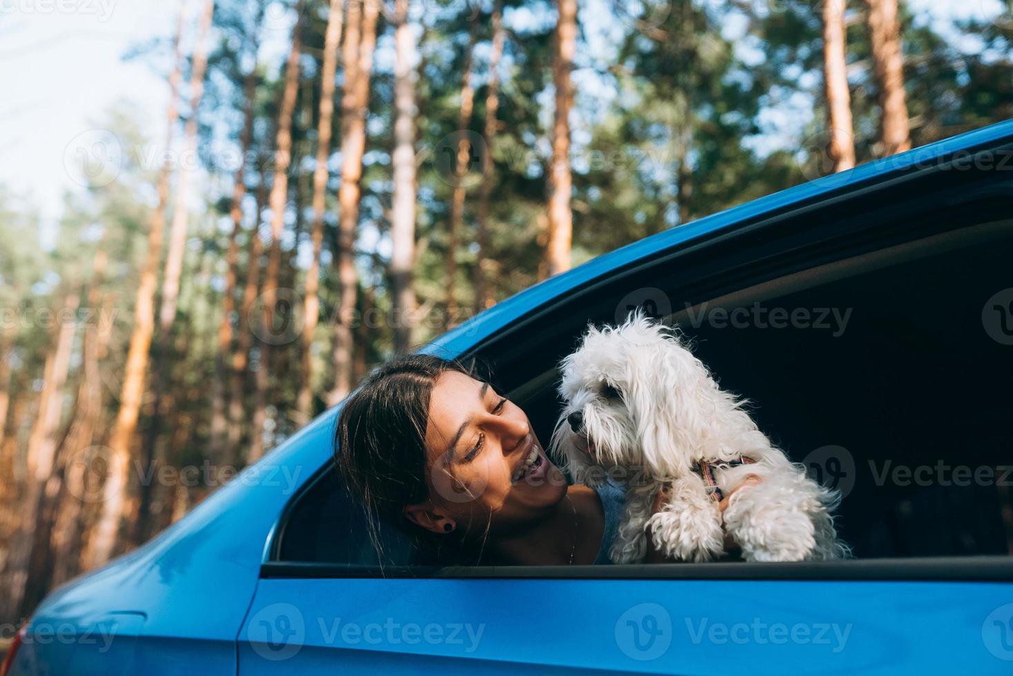 Young woman and dog look out the car window photo