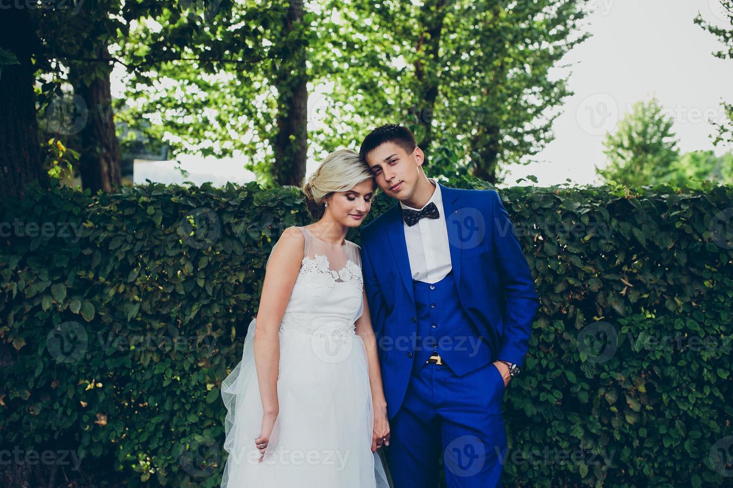 Beautiful wedding couple posing in the park photo