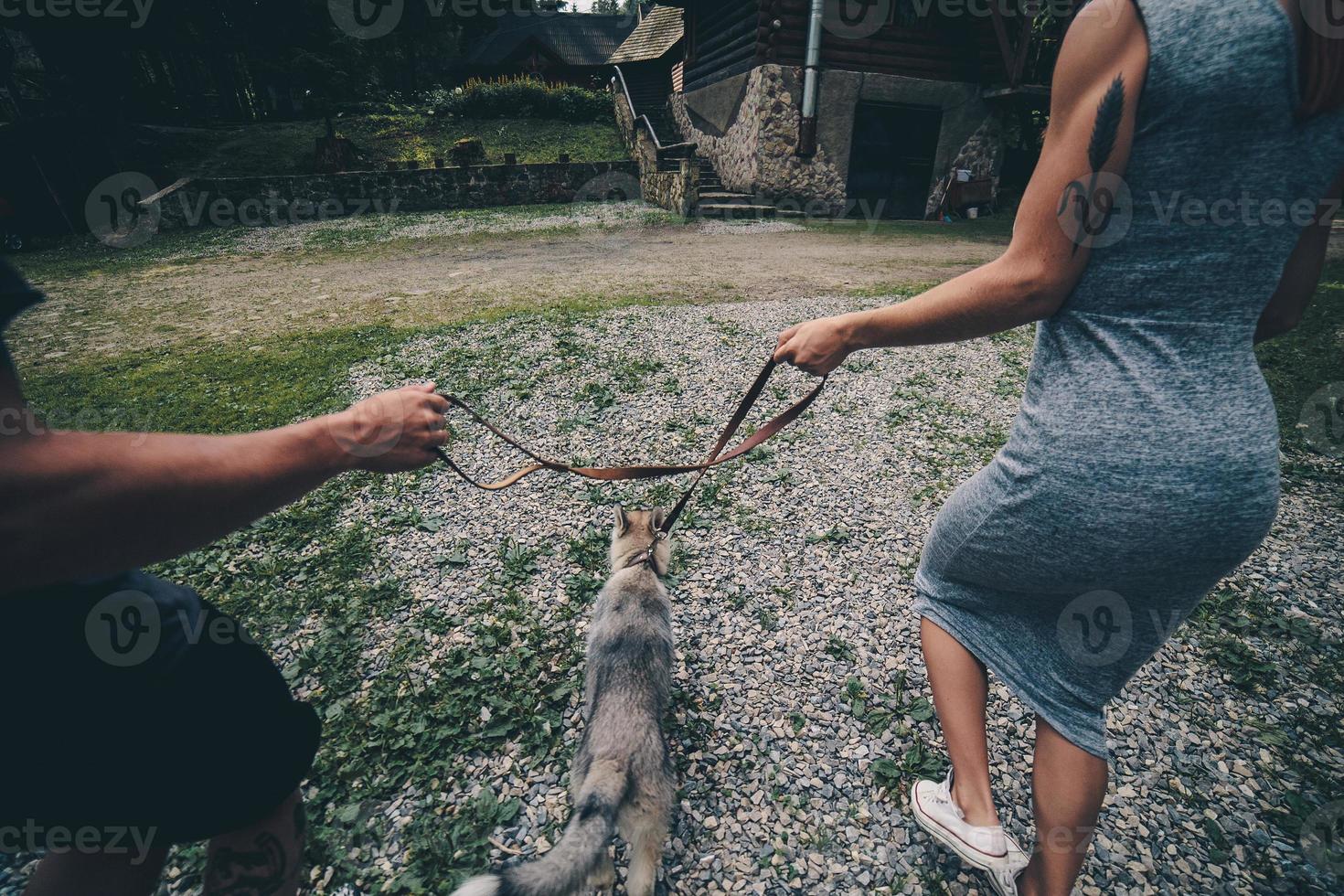 pareja corre por la carretera en la naturaleza con perro foto