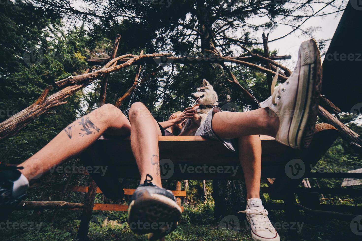 beautiful couple together with dog on a swing photo