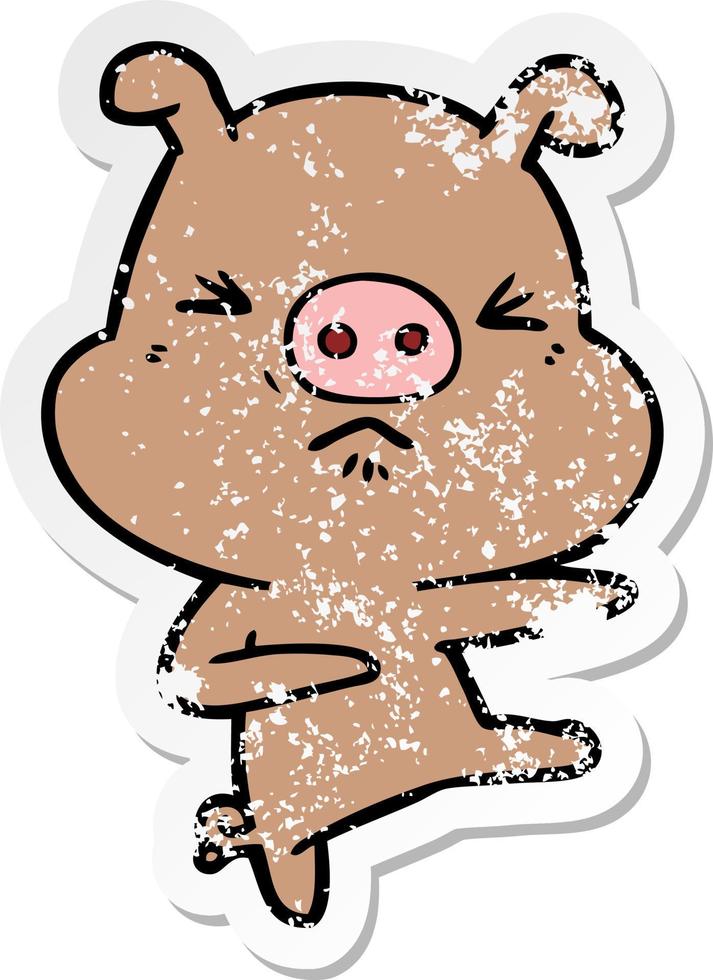 distressed sticker of a cartoon angry pig kicking out vector