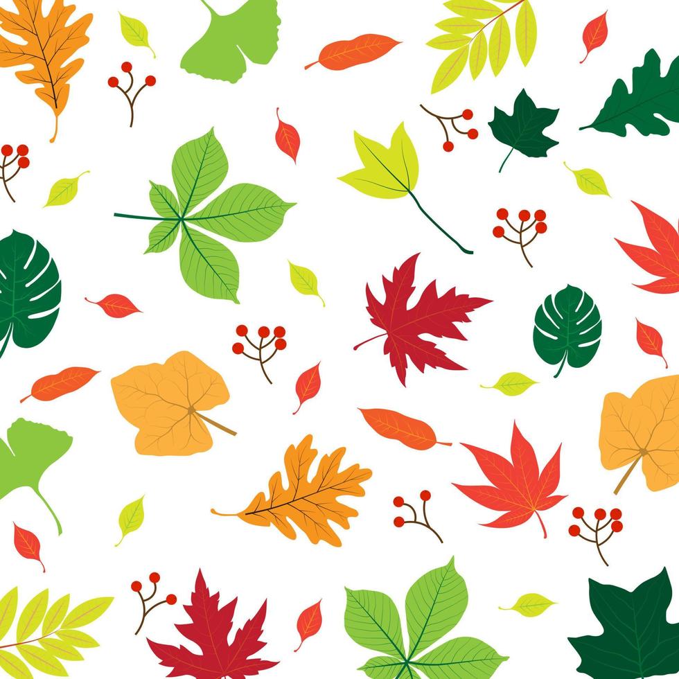 Leaf Stock Vector Illustration. Leaves Pattern on White Background.