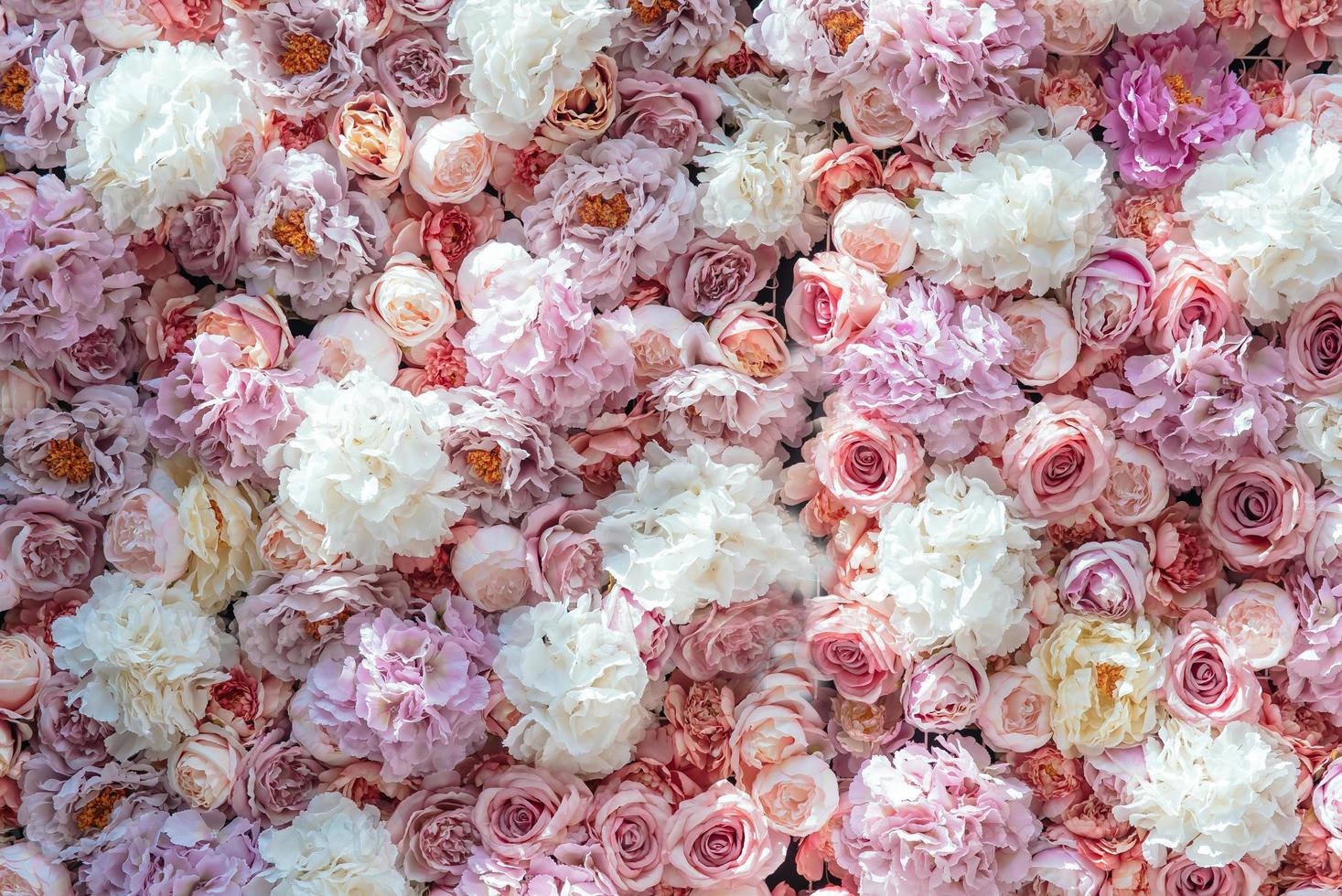 Bright pink roses as background, colorful flowers photo