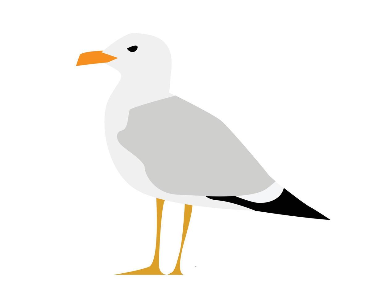 Seagull vector illustration
