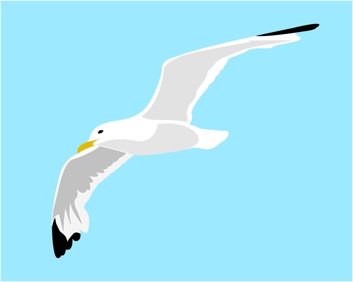 ilustración vectorial de gaviota vector