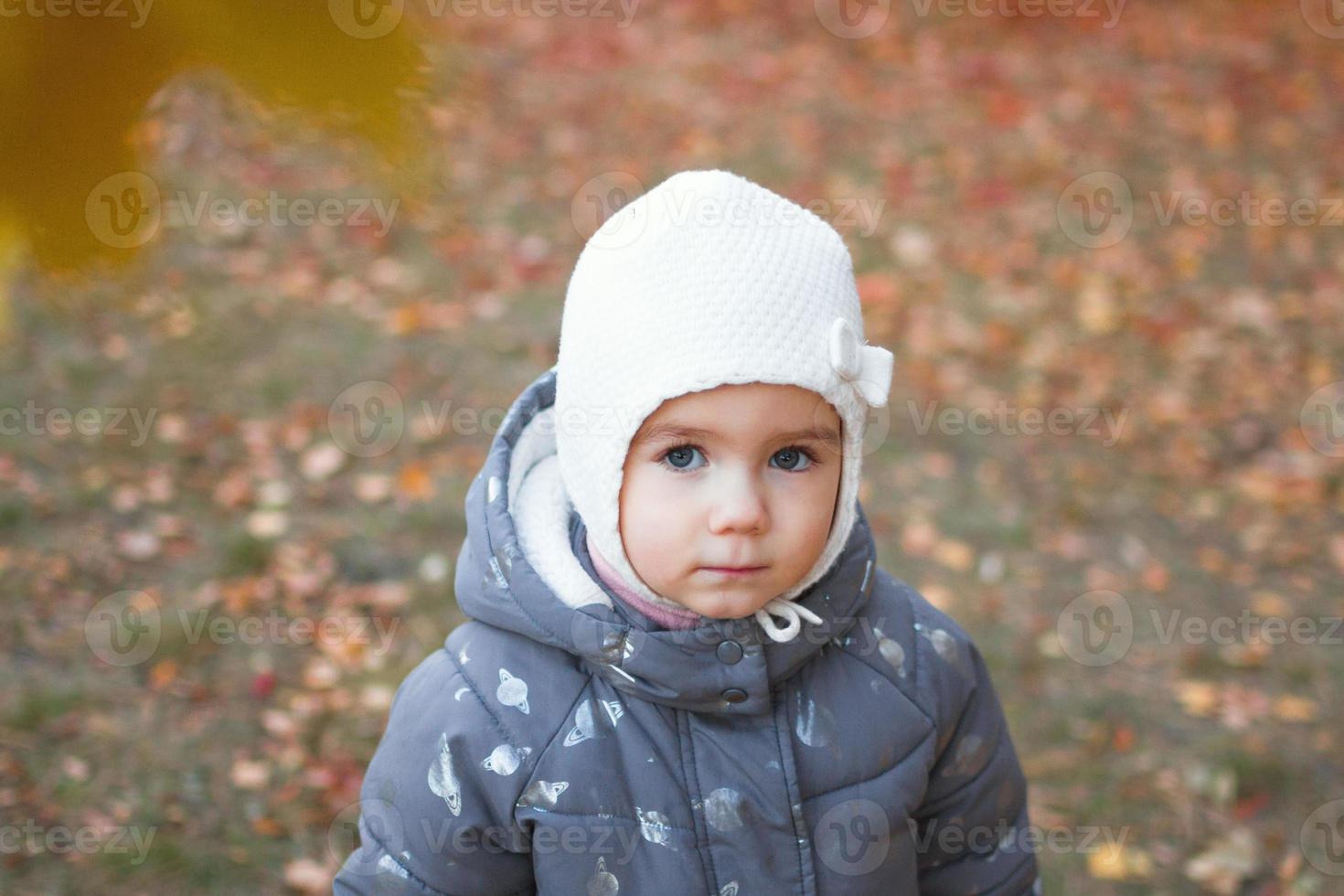 retrato de una linda niña caucásica en el fondo de las hojas de otoño. foto