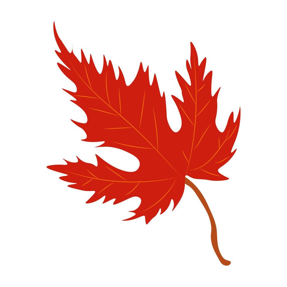 Autumn Leaves Vector Illustration. Autumn leaves. Top view of fall tree leaf. Flat vector