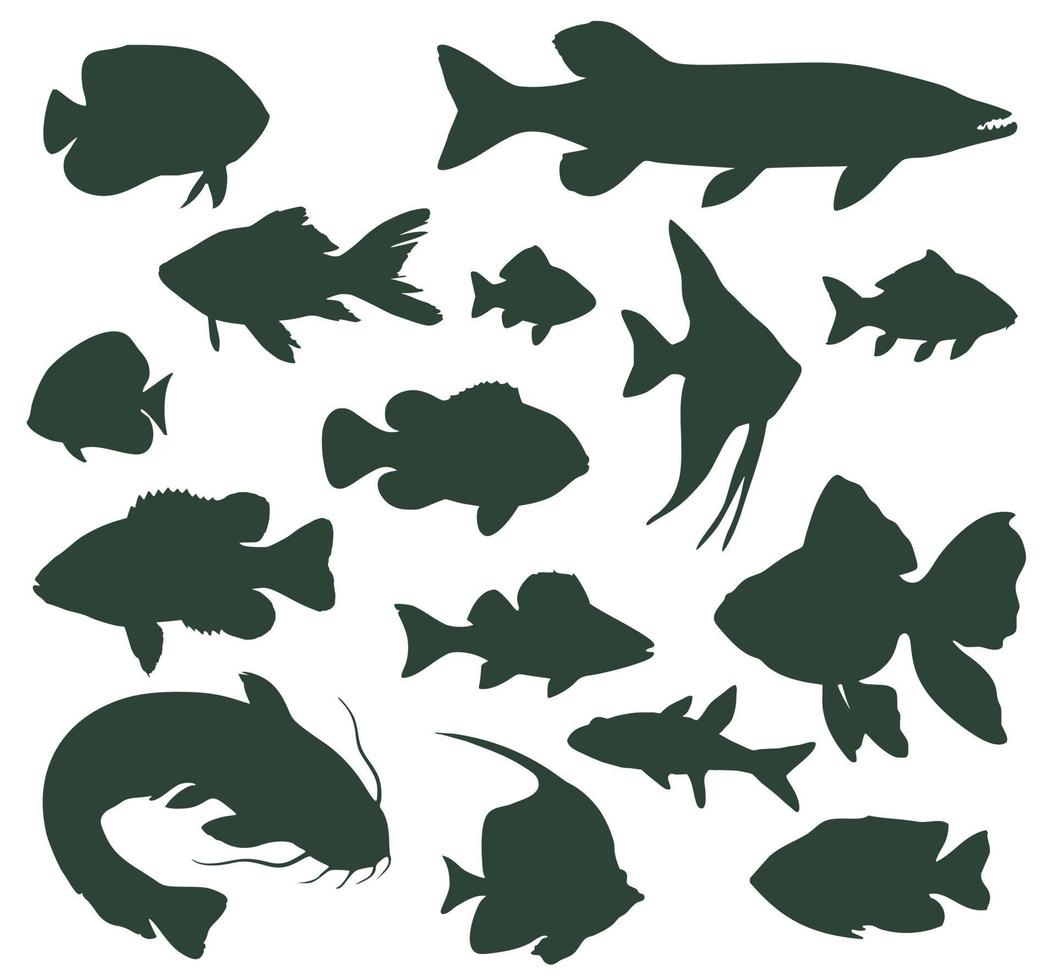 conjunto de siluetas de peces de río y acuario vector