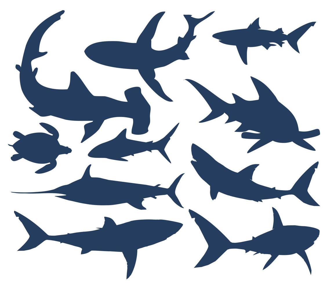 Set of ten fish, inhabitants of the underwater world vector