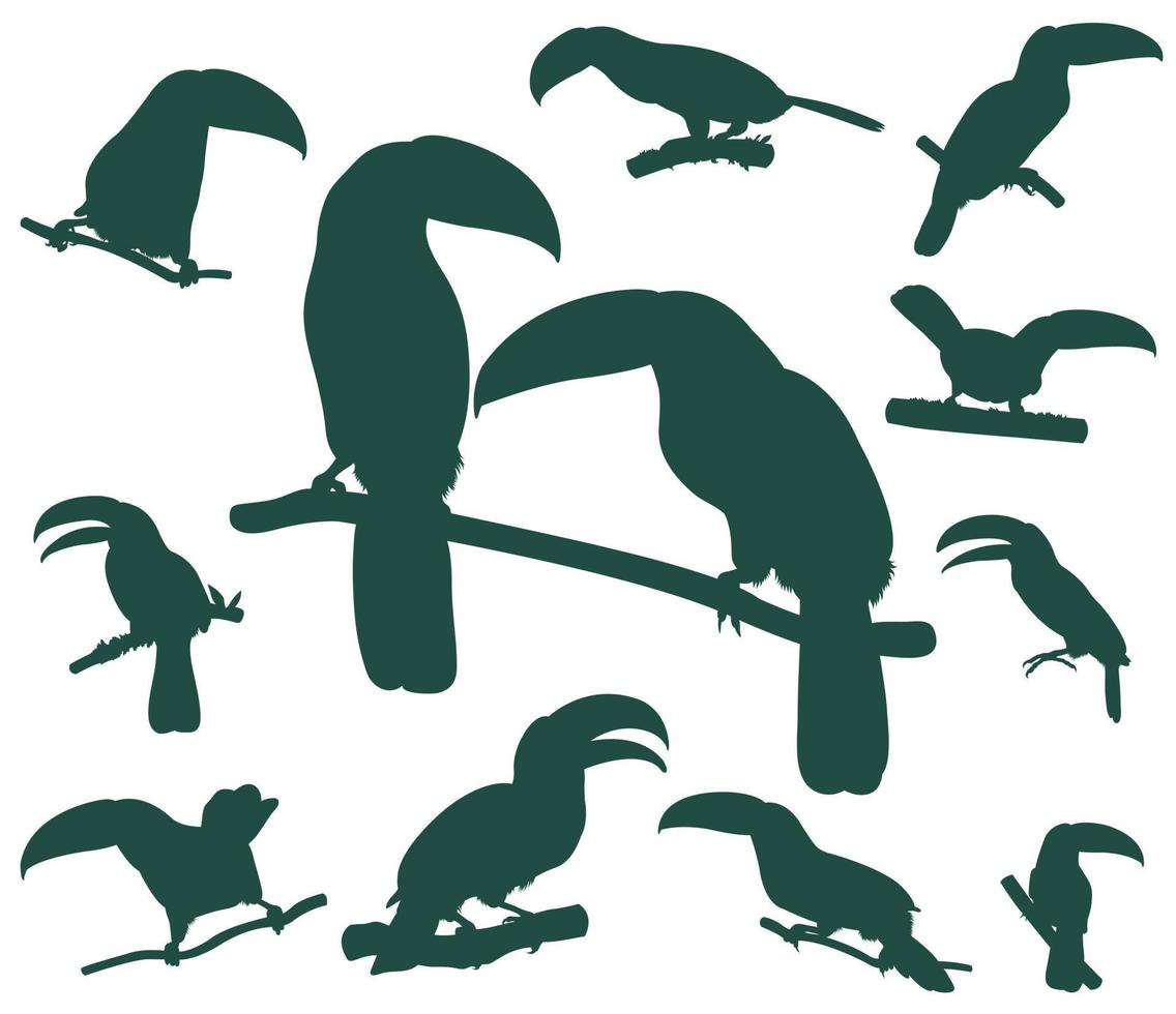 Set of silhouettes of birds toucan vector