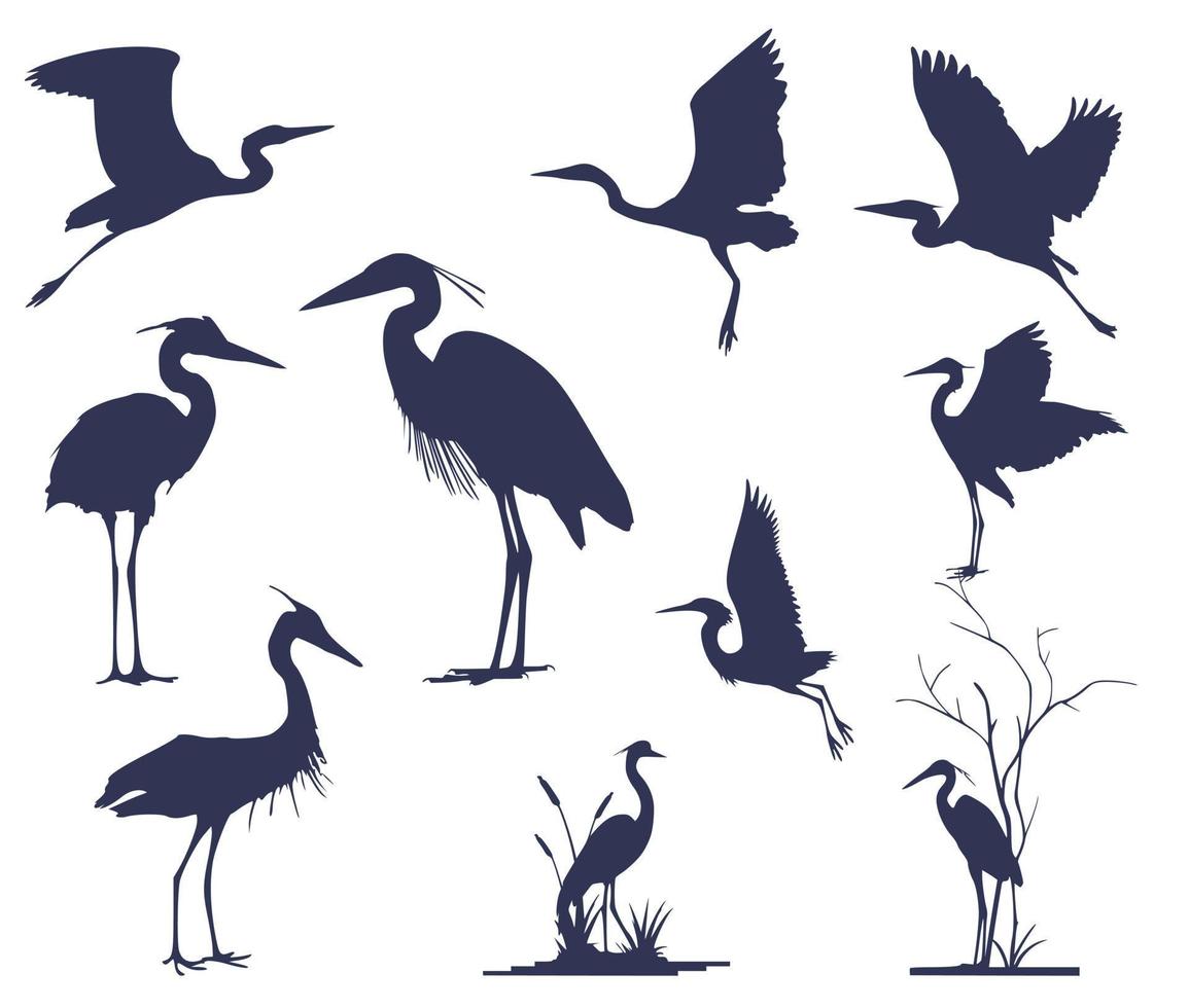 Set of ten heron silhouettes 11754844 Vector Art at Vecteezy