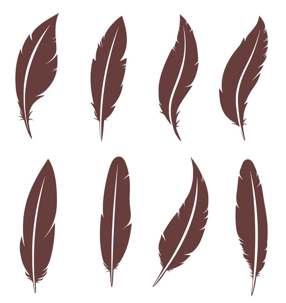 Set of silhouettes of eight feathers. Feathers of birds. vector