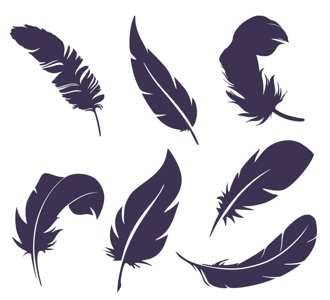 Set of seven feather silhouettes vector