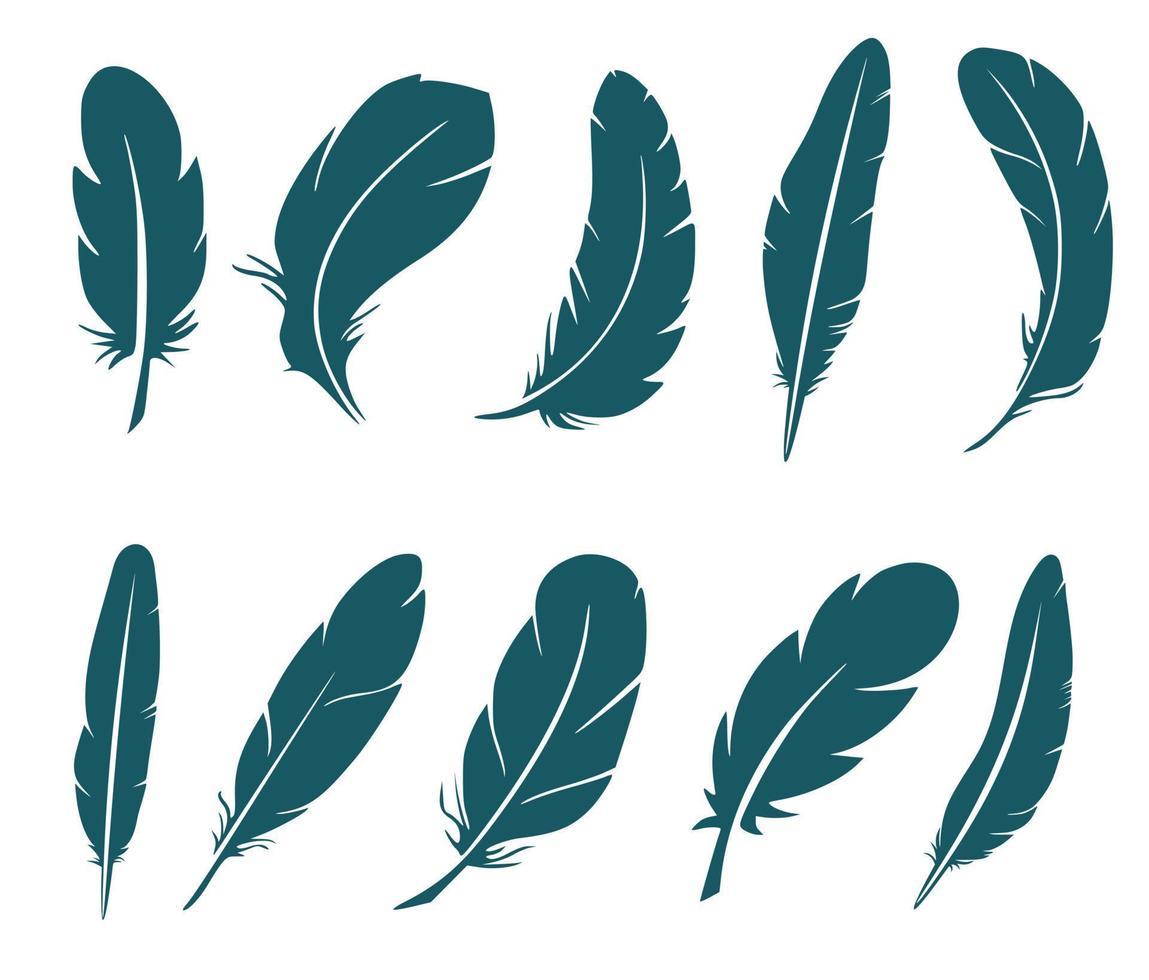 Set of eight silhouettes of bird feathers vector