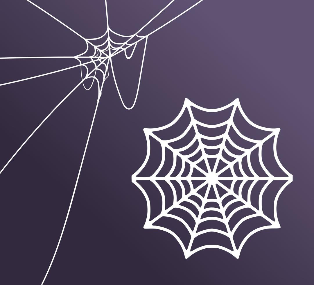Spider web for Halloween decoration of your design vector