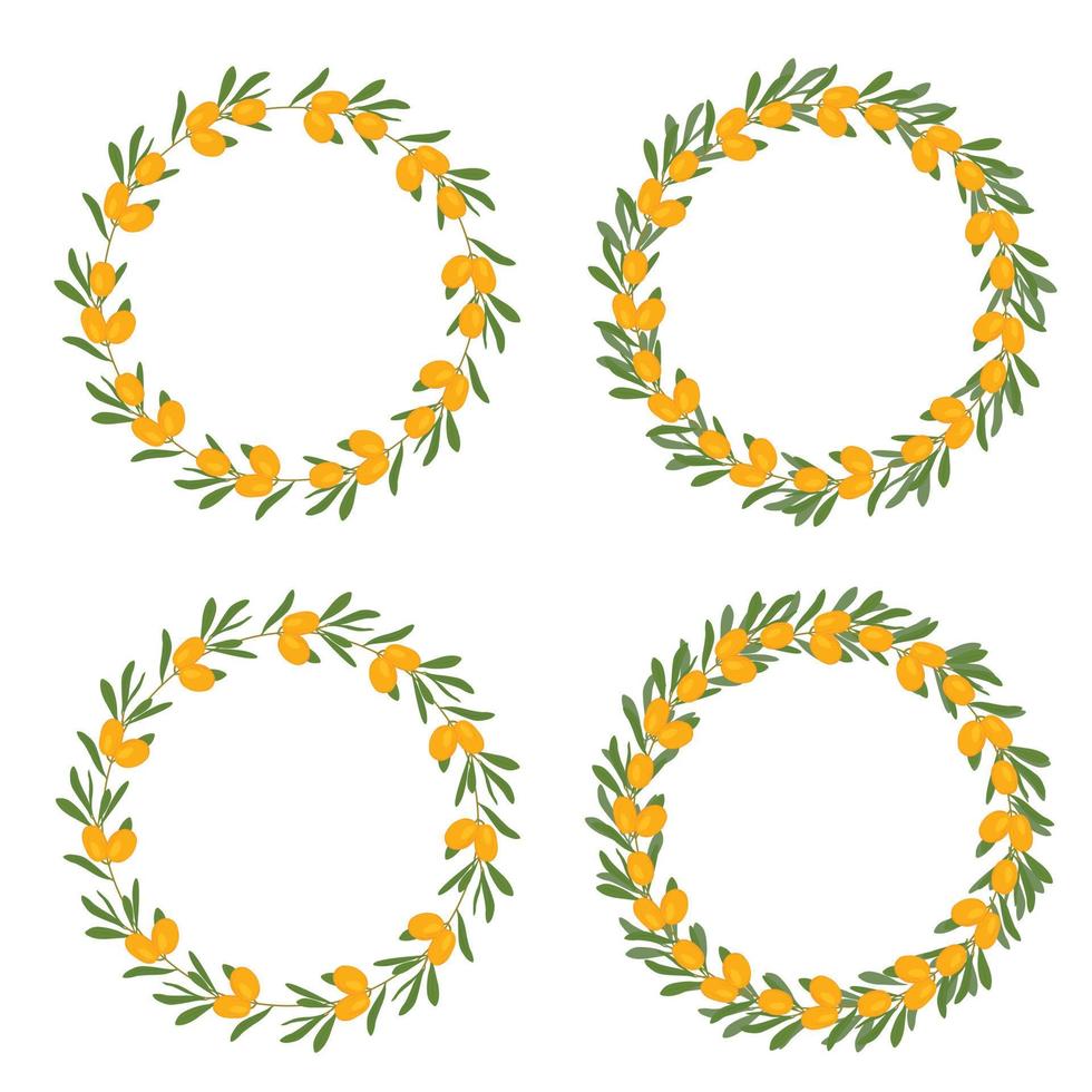 Sea buckthorn. Round frame, wreath.  Orange ripe berries. Sea Buckthorn for jam and dessert. Vector stock illustration.