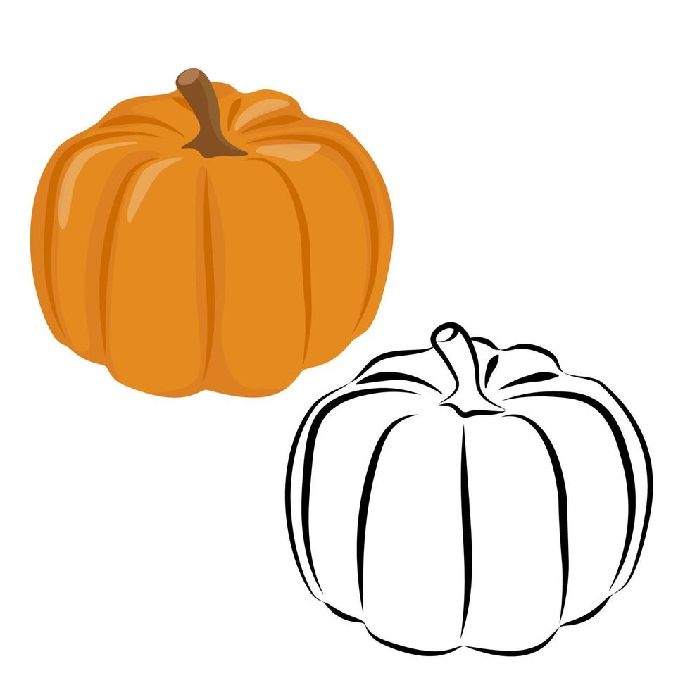 calabaza naranja y calabaza en líneas negras vector