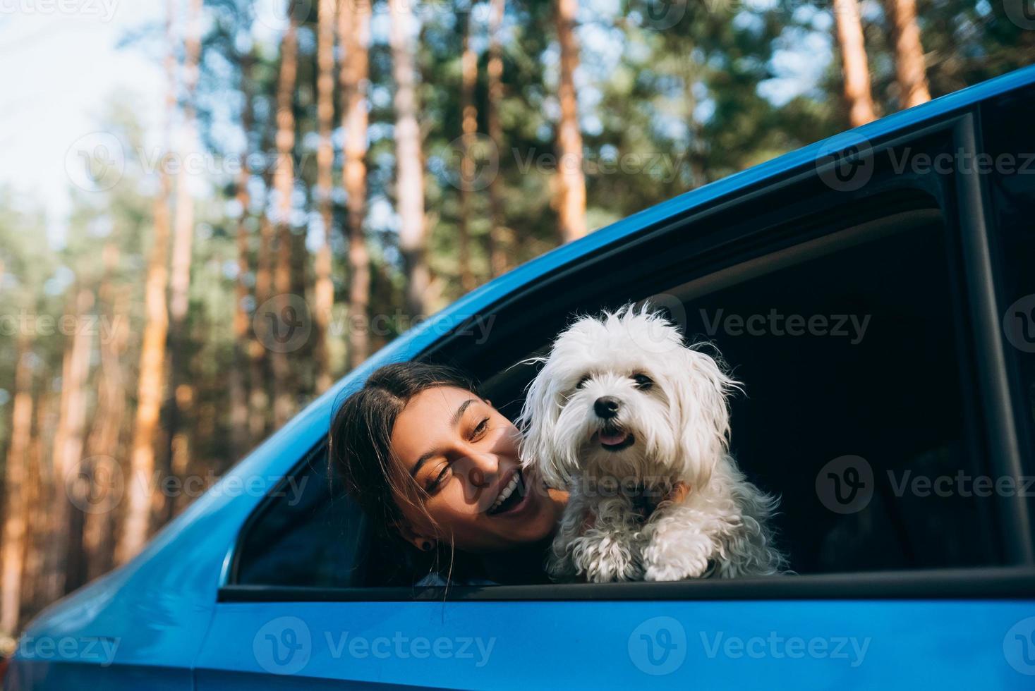 Young woman and dog look out the car window photo