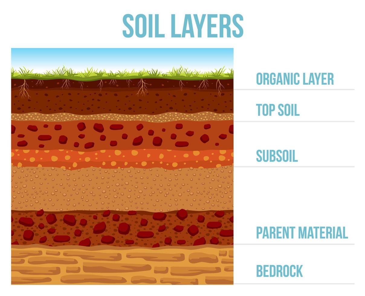 Soil layer infographic, earth geology formation vector