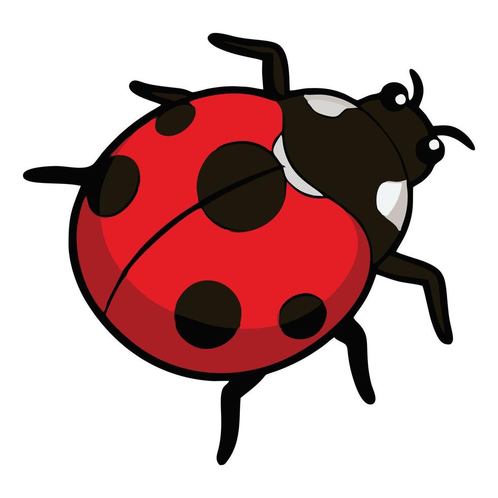 Cute cartoon ladybug. Simple beetle design illustration. Flat vector on a white background