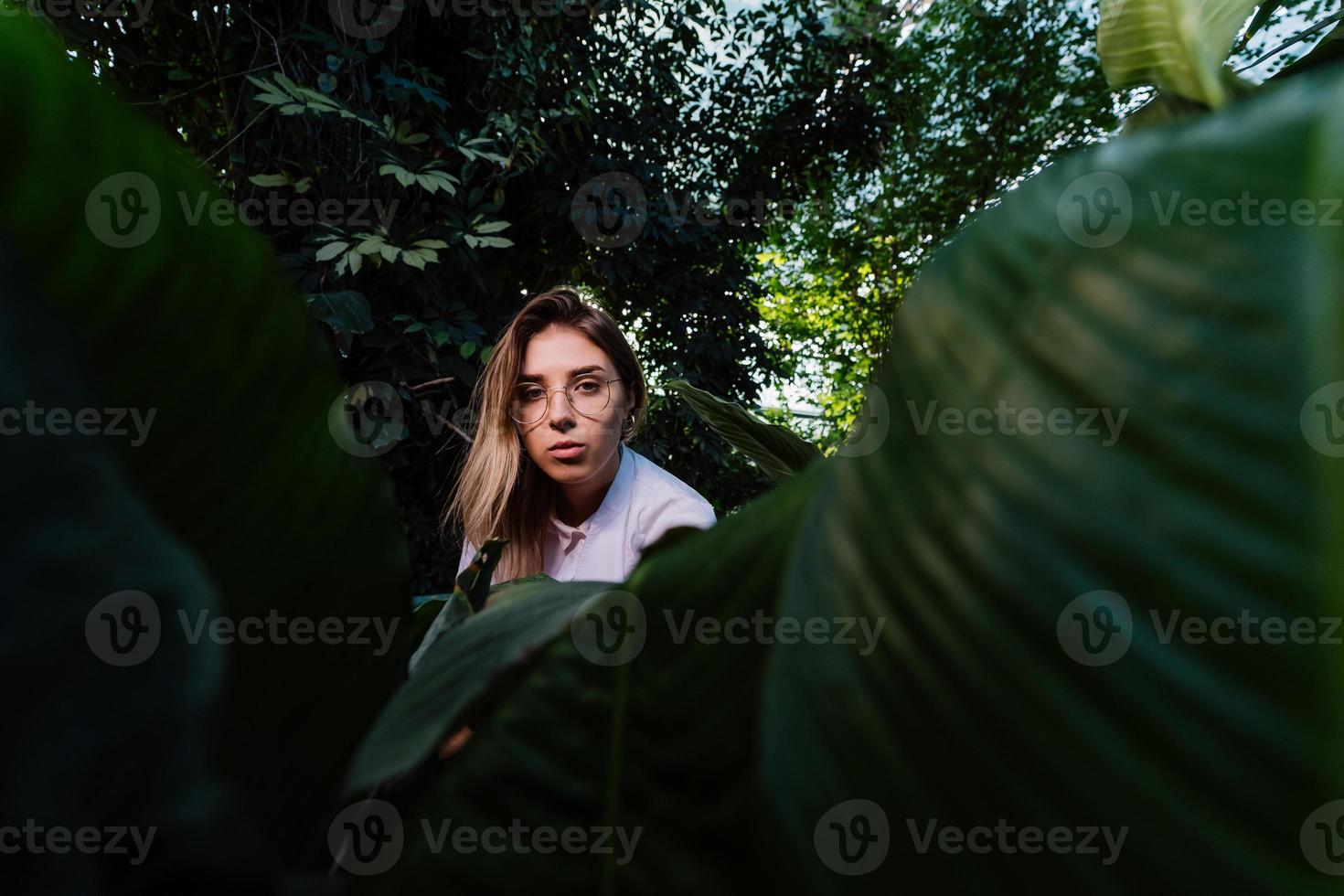 Young agricultural engineer examines leaves in greenhouse photo