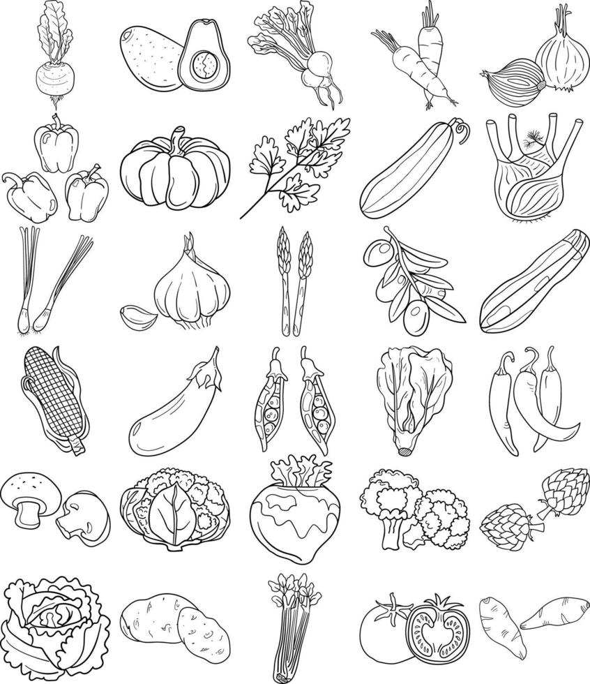 Vegetables Hand Drawn Doodle Line Art Outline Set vector