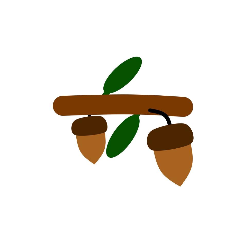 acorn seed vector illustration