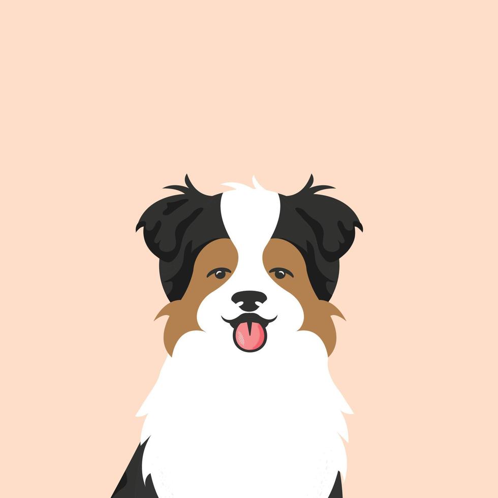 retrato de una ilustración de bozal de perro. perro pastor australiano sonriendo con la lengua afuera. mascotas, amantes de los perros, estilo vector plano.