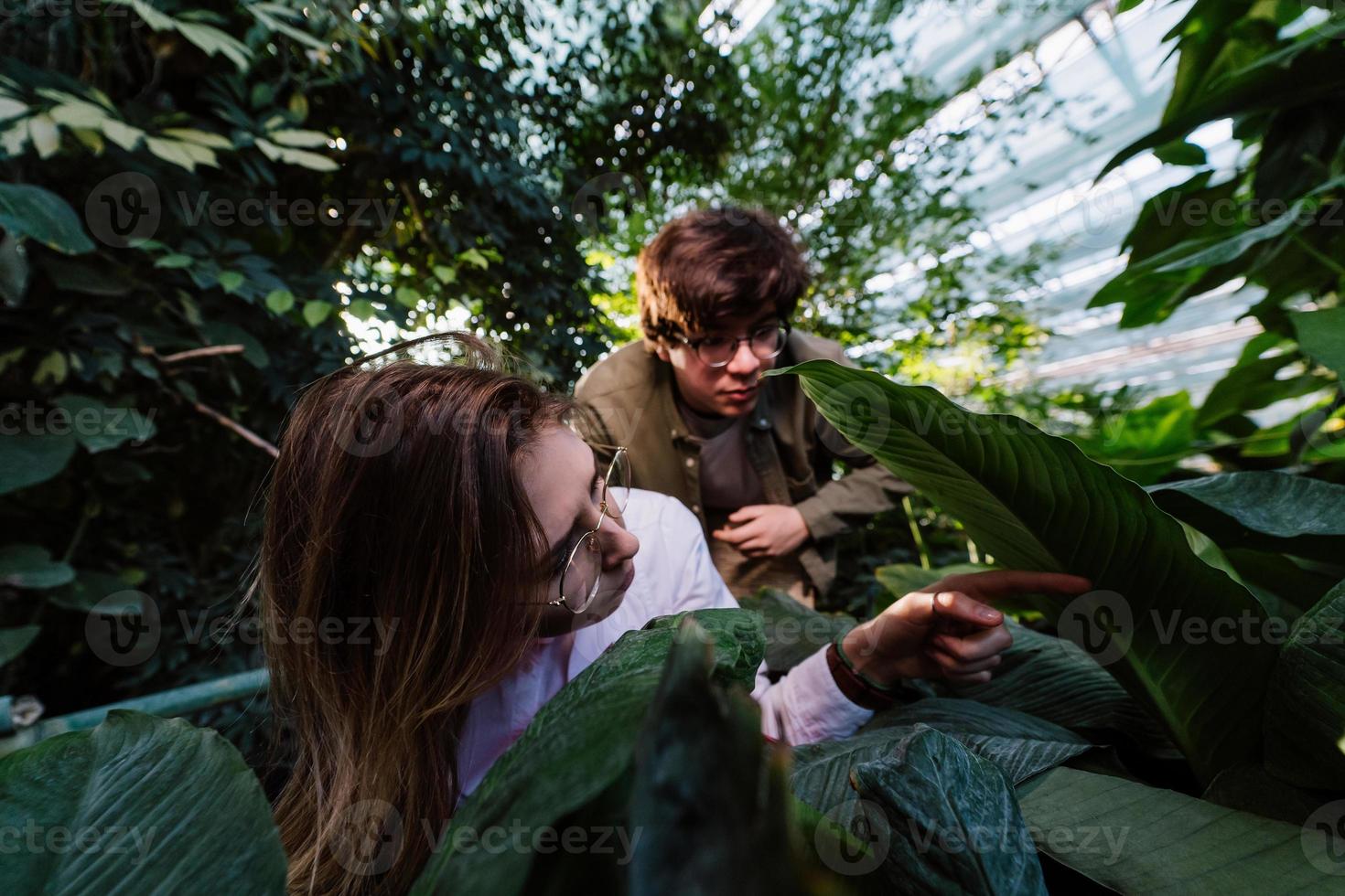 Young agricultural engineers are looking for something in greenhouse photo