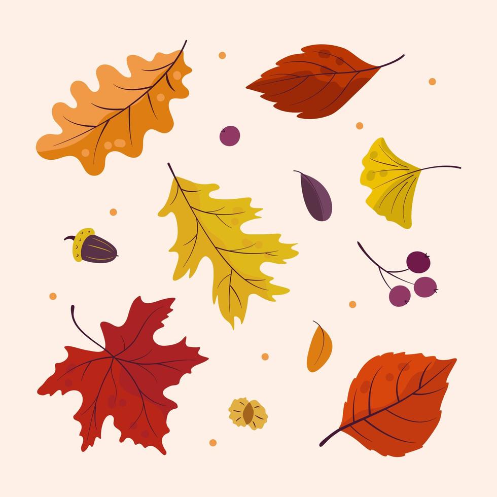 A set of bright autumn leaves vector