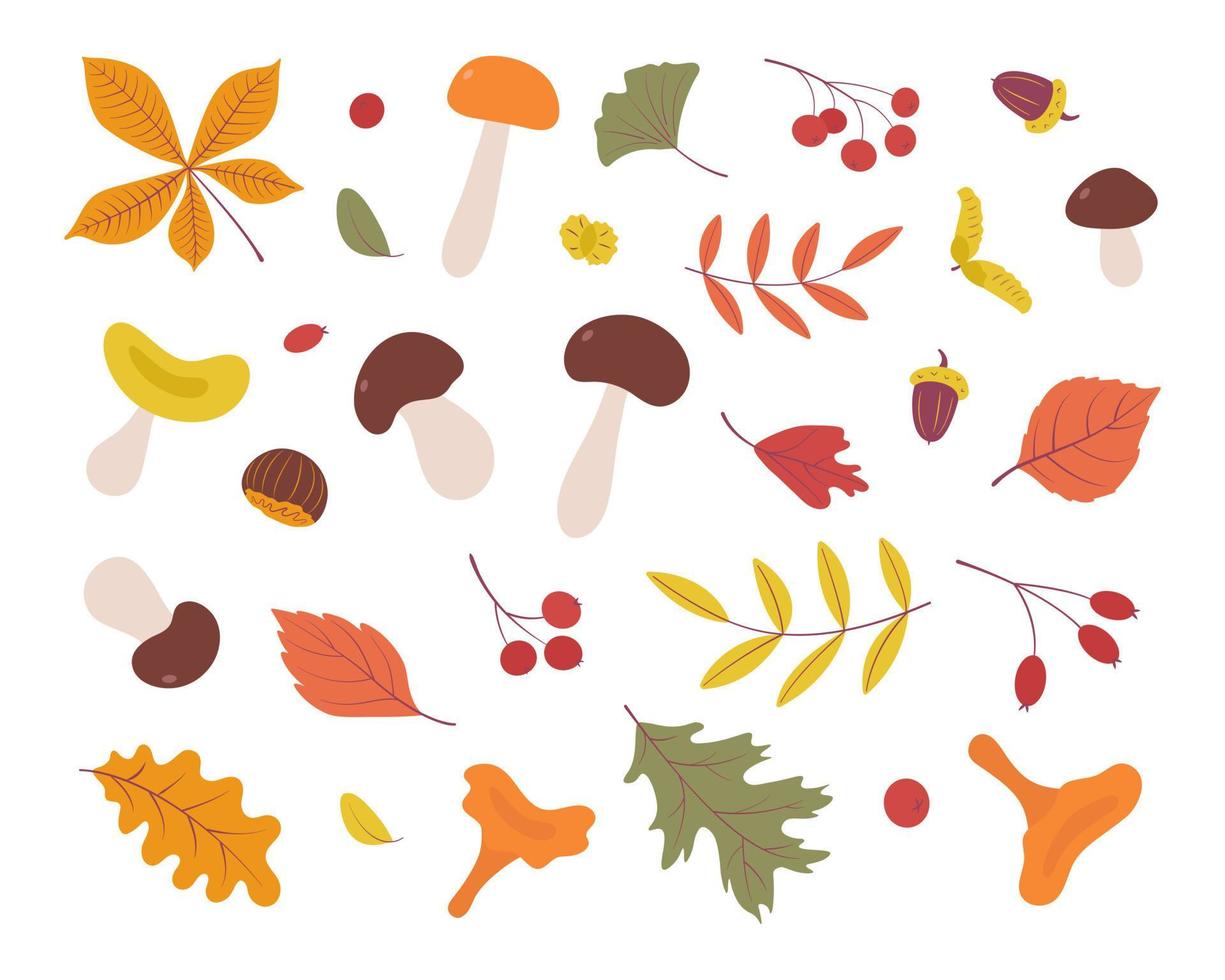 conjunto de otoño, elementos dibujados a mano. hojas botánicas, bellotas, bayas, champiñones, castaños. pancarta de temporada. septiembre otoño. fiesta de octubre venta de noviembre. ilustración vectorial vector