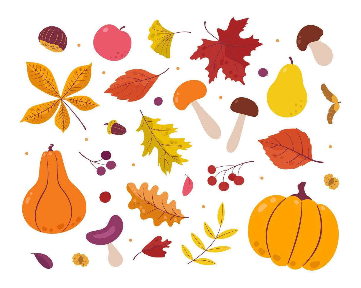 A set of bright colorful autumn leaves, mushrooms, pumpkins, apples and berries. Isolated on a white background. Simple cartoon flat style. Cute vector illustration.