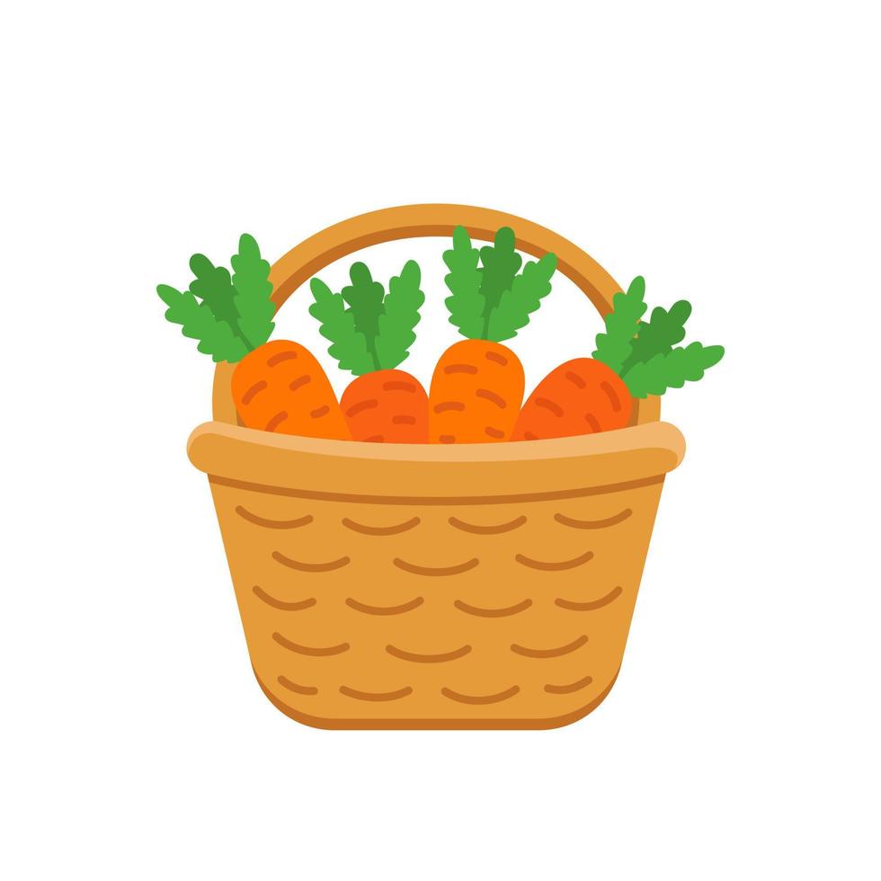 Basket with ripe carrot. Harvest of vegetables. Flat illustration vector. Elements for autumn farm market. vector