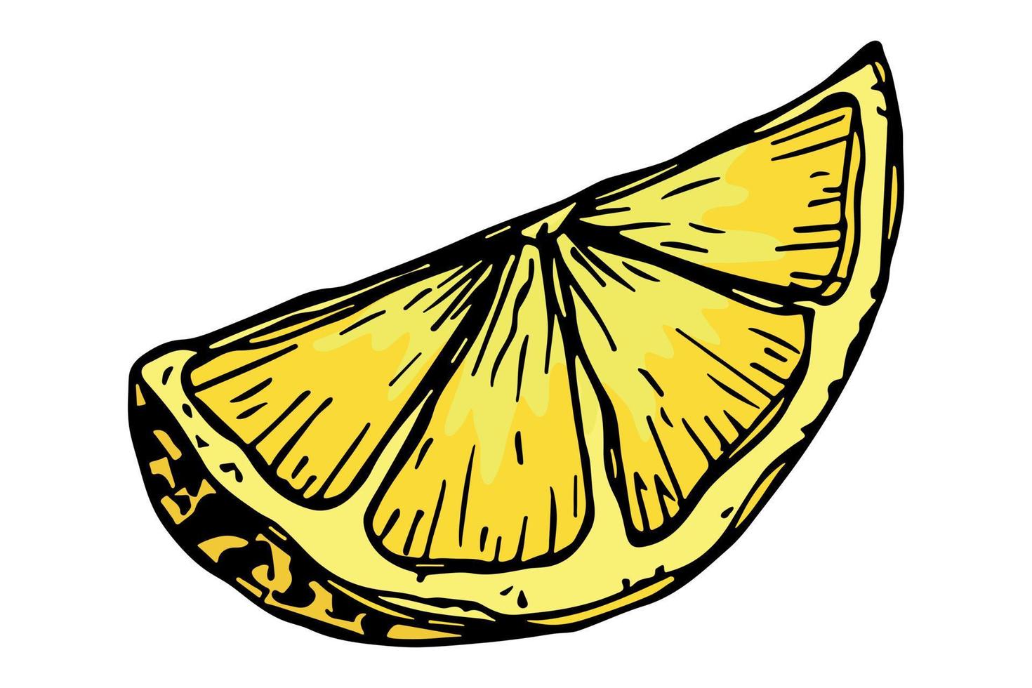 Vector lemon clipart. Hand drawn citrus icon. Fruit illustration. For print, web, design, decor