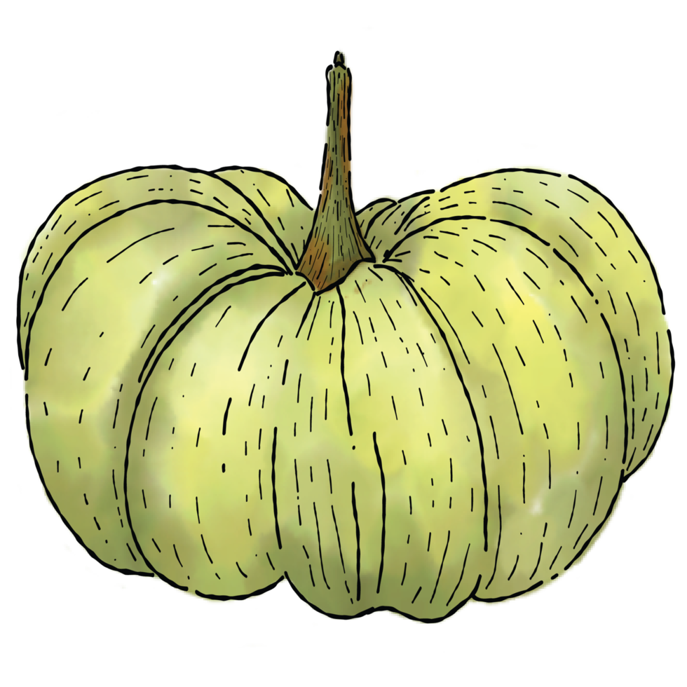 Pumpkins in watercolor style 2 png